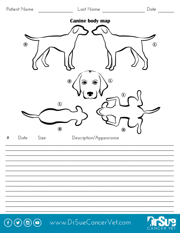 Canine Body Map Diagram